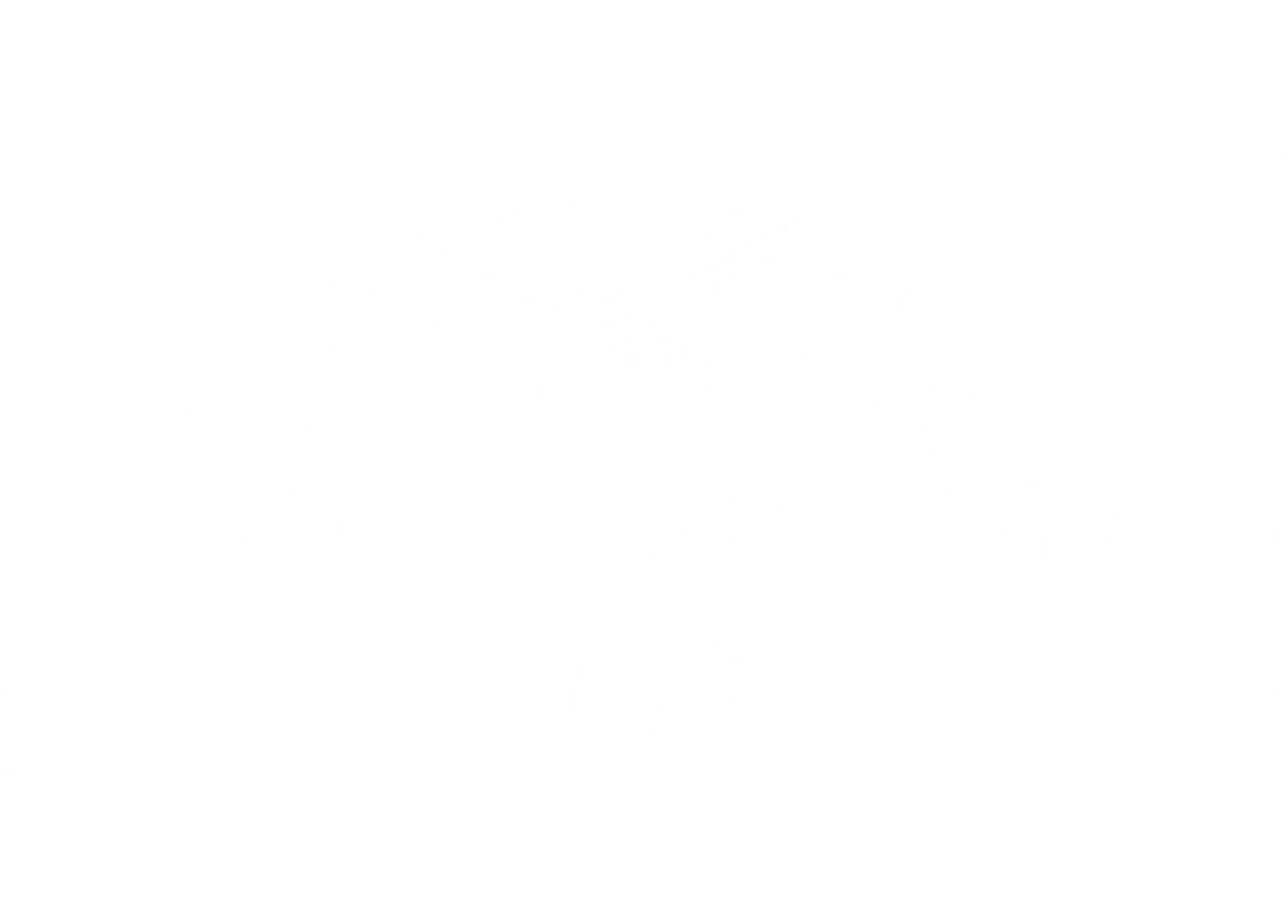 rover